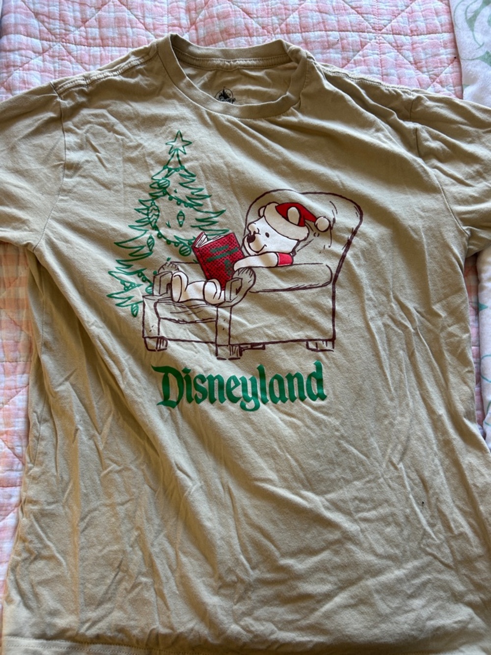 Disney Disneyland, Winnie the Pooh, Christmas shirt NWOT